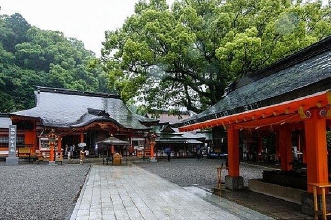 Kumanokodo 1 Day Walking Tour - Tour Inclusions