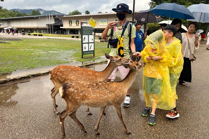 Kyoto and Nara 1 Day Bus Tour - Meeting and Pickup Details