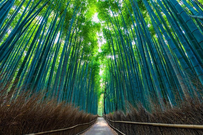 Kyoto Arashiyama Bamboo Forest & Garden Half-Day Walking Tour - Inclusions and Logistics