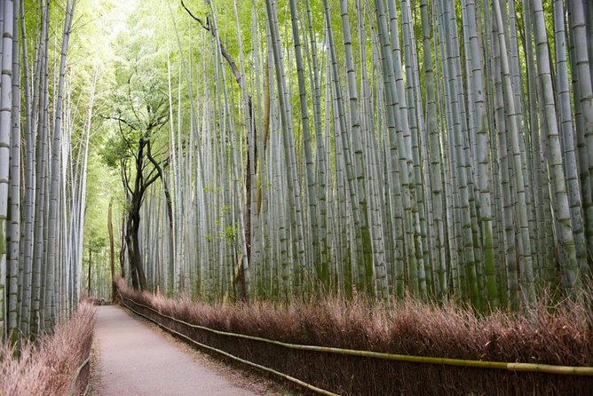 Kyoto Arashiyama Best Spots 4h Private Tour With Licensed Guide - Additional Information