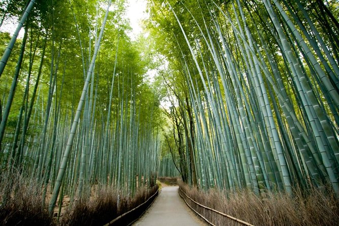 Kyoto Arashiyama & Sagano Bamboo Private Tour With Government-Licensed Guide - Cancellation Policy