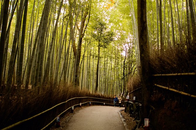 Kyoto Bamboo Forest Electric Bike Tour - Reviews