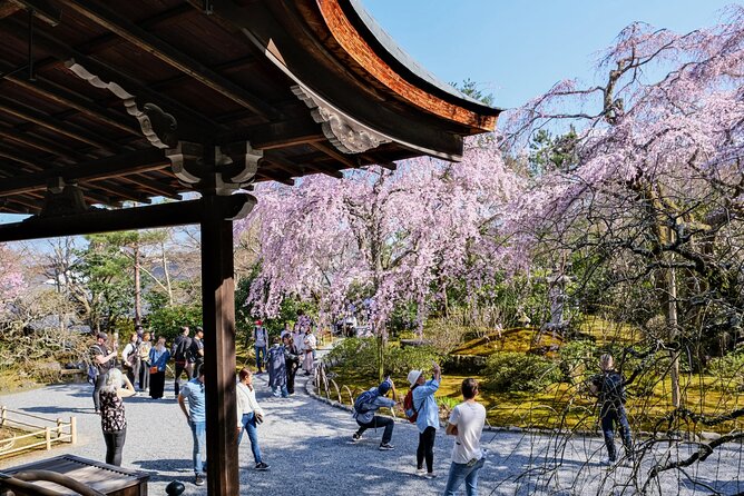 Kyoto Day Tour Tenryu-ji Temple Arashiyama Grove and Kinkaku-ji - Tour Details