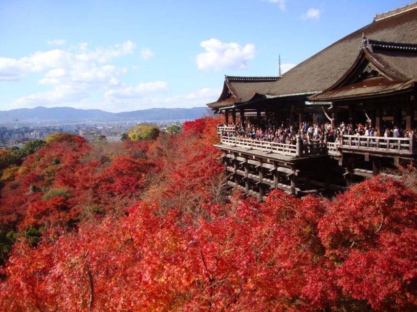 Kyoto: Full-Day Best UNESCO and Historical Sites Bus Tour - Important Information