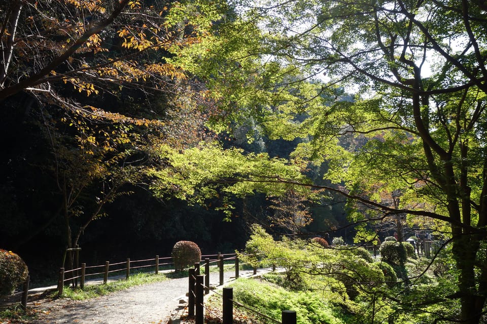 Kyoto: Ginkakuji and the Philosophers Path Guided Bike Tour - Highlights and Inclusions