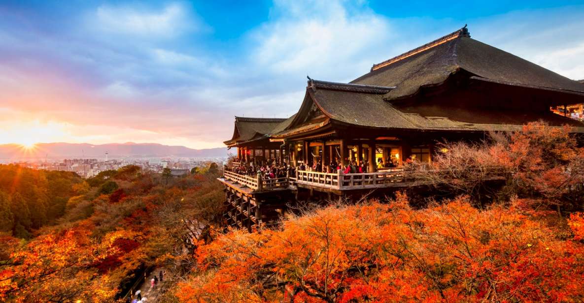 Kyoto: Heritage Highlights Full-Day Tour - Itinerary Highlights