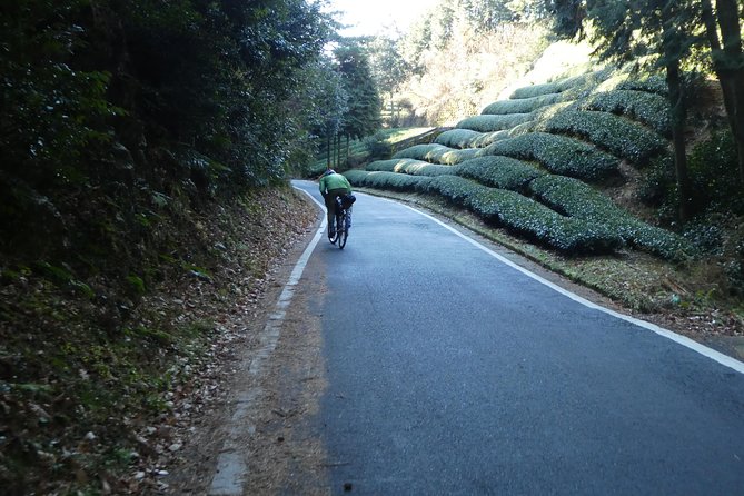 Kyoto, Nara 2 Days Bike Tour With Overnight Self Guided - Meeting Point & Directions