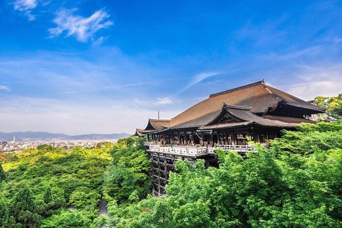 Kyoto, Osaka, Nara Full Day Tour by Car English Speaking Driver - Customer Reviews