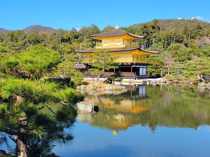 Kyoto: Private Walking Tour With Government Certified Guide - Tour Experience