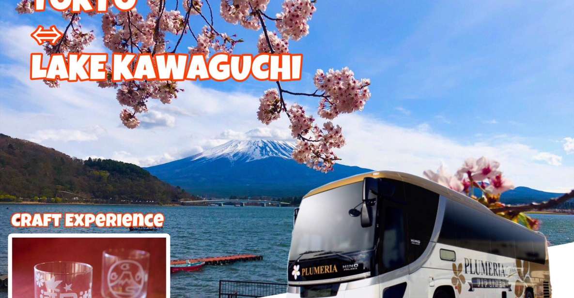 Lake Kawaguchi From Tokyo Express Bus Oneway/Roundway - Booking Information