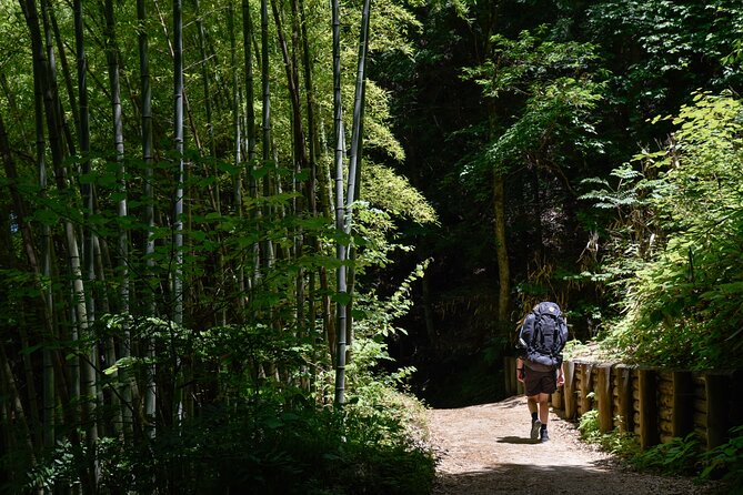 Magome & Tsumago Nakasendo Trail Day Hike With Government-Licensed Guide - Trail Highlights