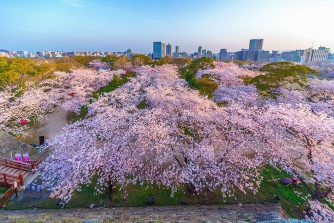 Maizuru Full-Day Private Tour With Government-Licensed Guide - Reservation