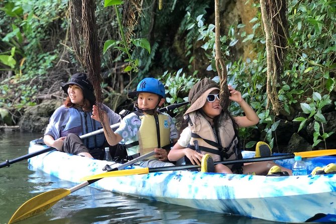 Mangrove Kayaking to Enjoy Nature in Okinawa - Expert Guided Ecological Insights