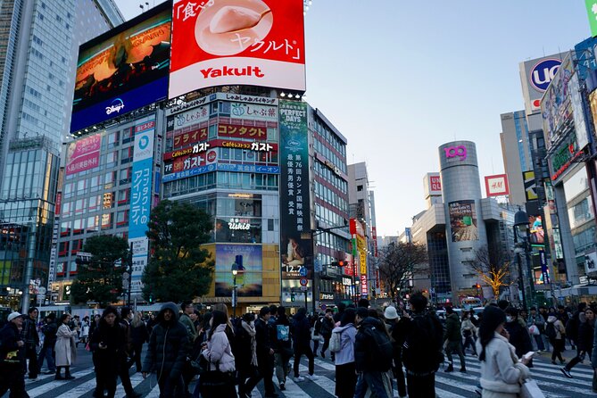 Meiji Shrine to Shibuya Crossing With Lunch and Dessert - Lunch Inclusions