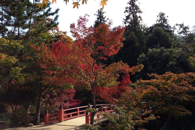 Miyajima Full Day Tour - Meeting Point Details