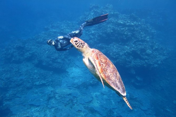 [Miyakojima, Diving Experience] Completely Charter Than 2 People Sea Turtle and Shark Sometimes Madaratobiei! Skin Diving at Deeper Points - Inclusions and Equipment