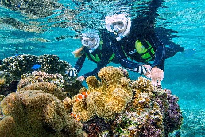 Miyakojima / Snorkel Tour to Enjoy Coral and Fish - Booking Information