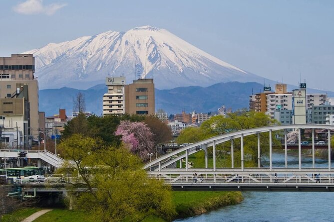 Morioka Half-Day Private Tour With Government-Licensed Guide - Pickup and Transportation Options