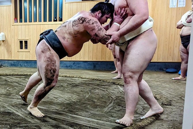 Morning Sumo Practice Viewing in Tokyo - Tour Information