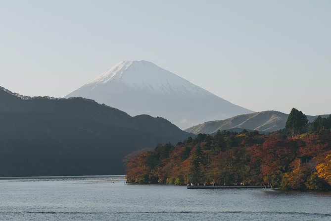 Mount Fuji Day Trip From Tokyo With a Local: Private & Personalized - Meeting Points and Logistics