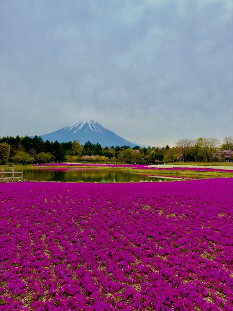 Mount Fuji Hakone With English-Speaking Guide - Itinerary