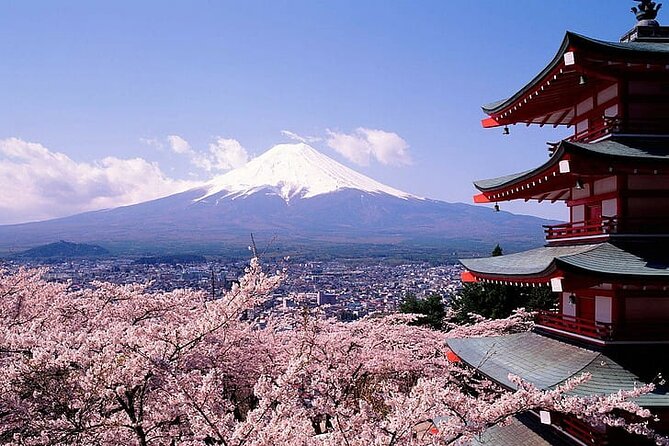 Mount Fuji Private Day Tour With English Speaking Driver - Inclusions and Additional Costs