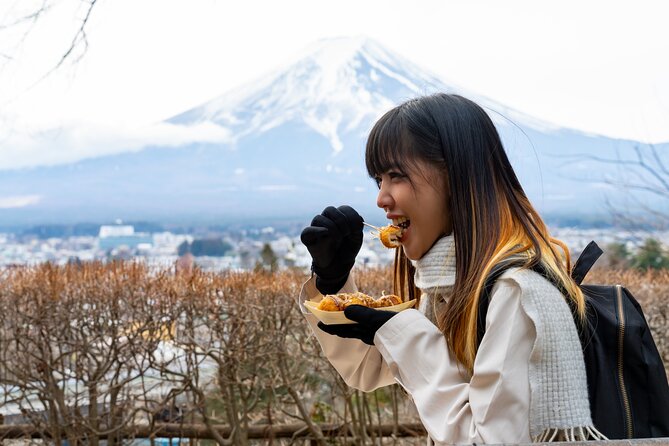 Mount Fuji Private Tour by Car - English Speaking Driver - Booking and Confirmation Process