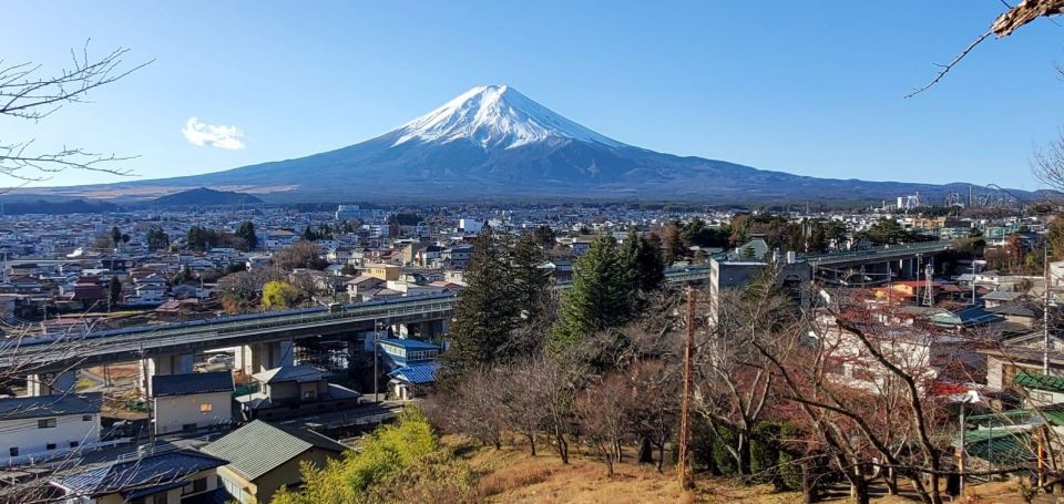 Mt Fuji and Hakone Private Tour With English Speaking Driver - Detailed Itinerary and Highlights
