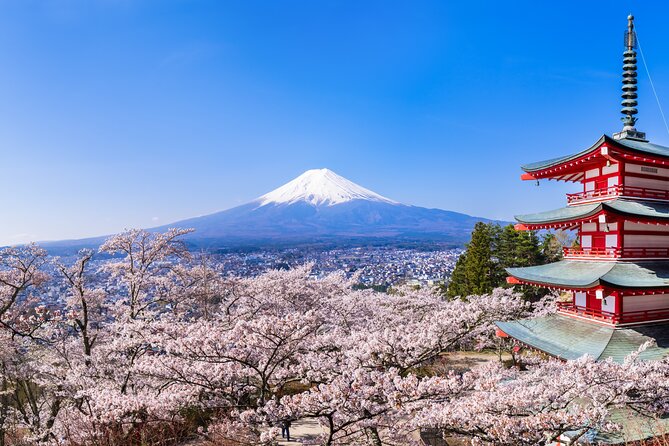 Mt.Fuji and Hakone Tour - Itinerary Details