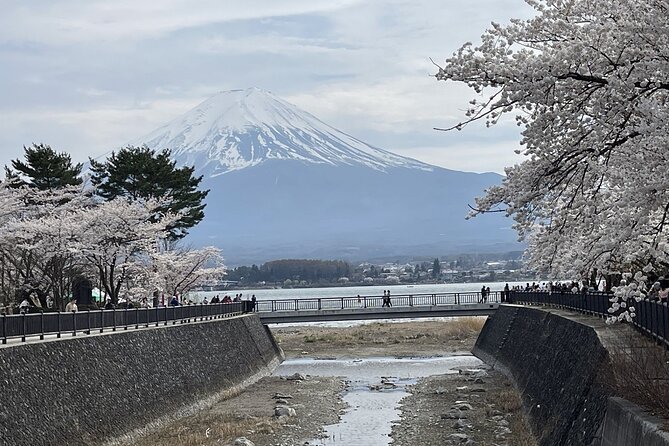 Mt. Fuji and Lake Kawaguchi Sakura Festival Sightseeing Tour - Tour Start Time and End Point