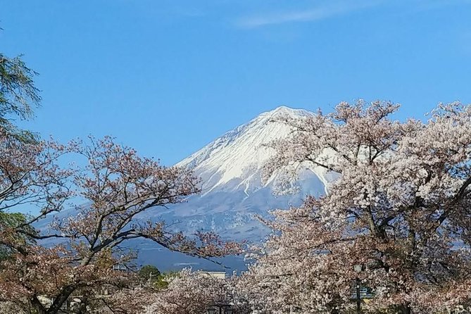 Mt.Fuji Chartered Taxi Tour - Tour Inclusions