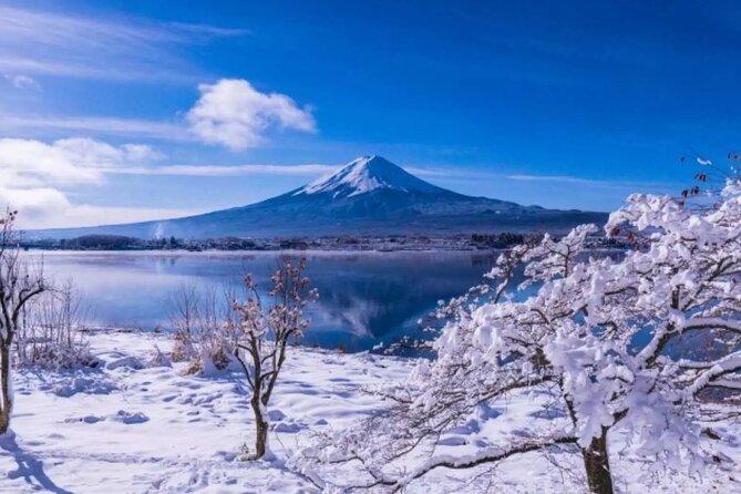 Mt. Fuji Day Tour From Shinjuku in Tokyo Japan - Lunch and Refreshment Break