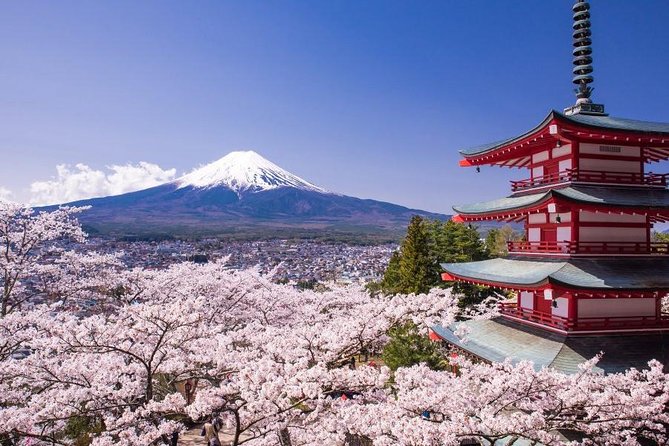 Mt Fuji & Five-Story Pagoda & Honcho Street & Oishi Park Day Tour - Accessibility and Requirements