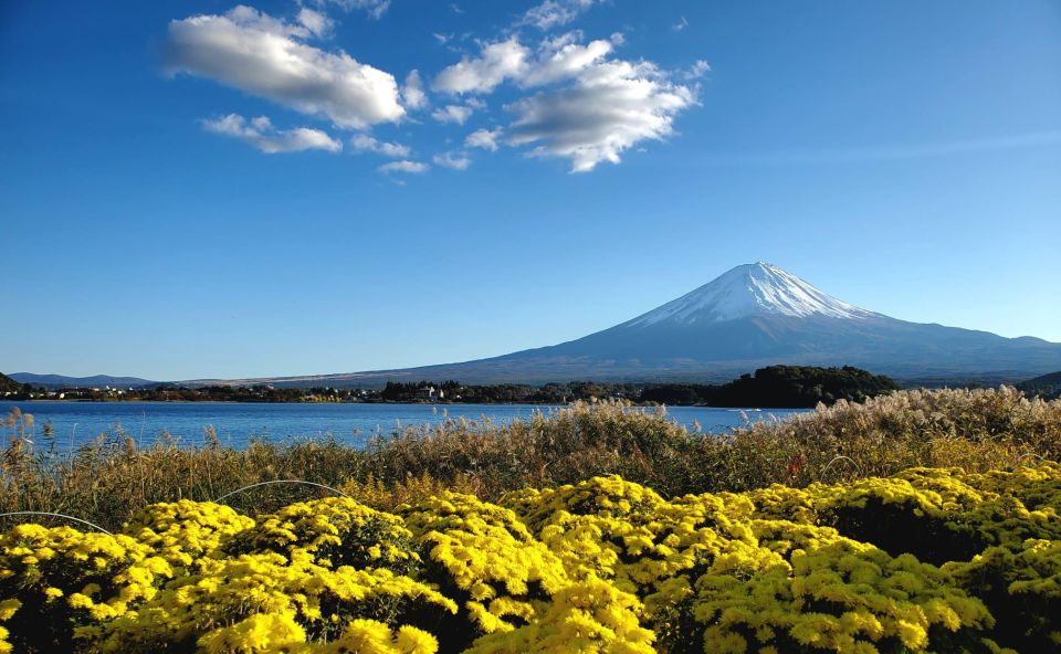 Mt Fuji: Full Day Private Tour With English Guide - Booking Information