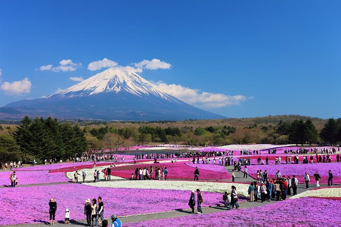 Mt. Fuji, Hakone Full-Day Private Tour With English Driver Guide - Customization Options