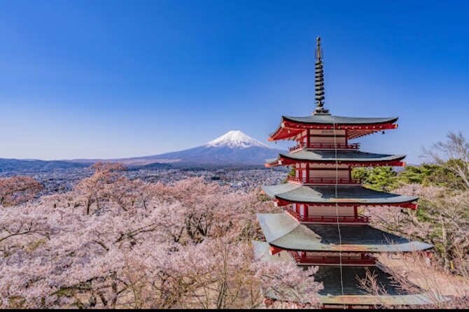 Mt.Fuji Hakone Private Tour With English Speaking Chauffeur - Inclusions and Exclusions