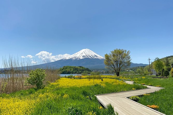 Mt Fuji Half-Day Tour By Car - Meeting Point