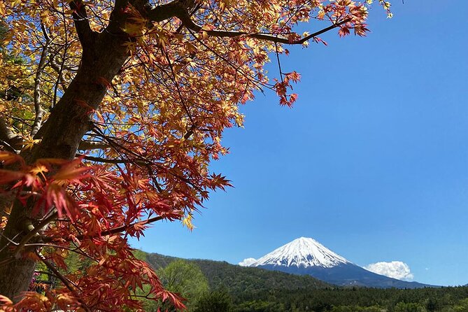 Mt Fuji Japanese Crafts Village and Lakeside Bike Tour - Location Details