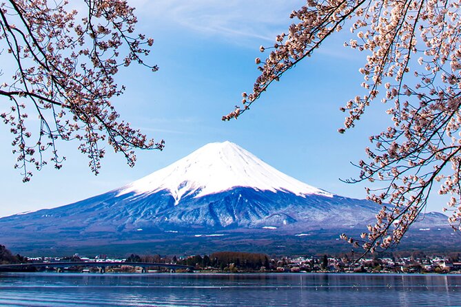 Mt. Fuji, Mt Fuji Panoramic Ropeway & Seasonal Fruits Picking - Inclusions and Exclusions