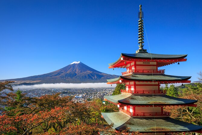 Mt. Fuji or Hakone Private Sightseeing Day Tour From Tokyo - Meeting and Pickup Details