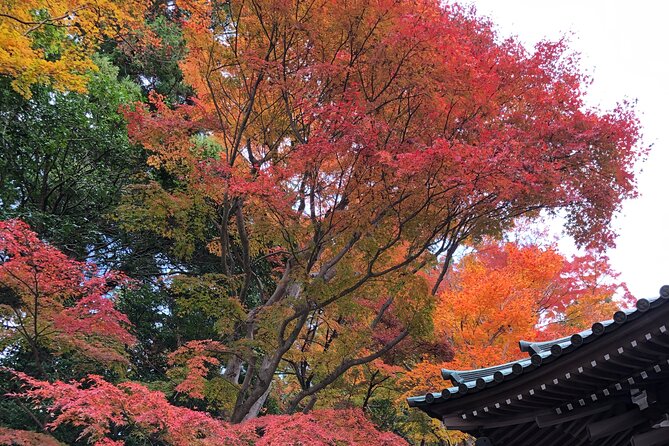 Mt. Takao Hiking Tour With Licensed Guide - Tour Details and Inclusions