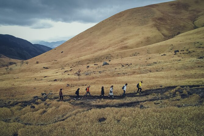 Mt. Yufu Grassland Private Hiking and Lunch - Inclusions