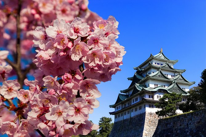 Nagoya Half Day Tour With a Local: 100% Personalized & Private - Customized Itinerary Options