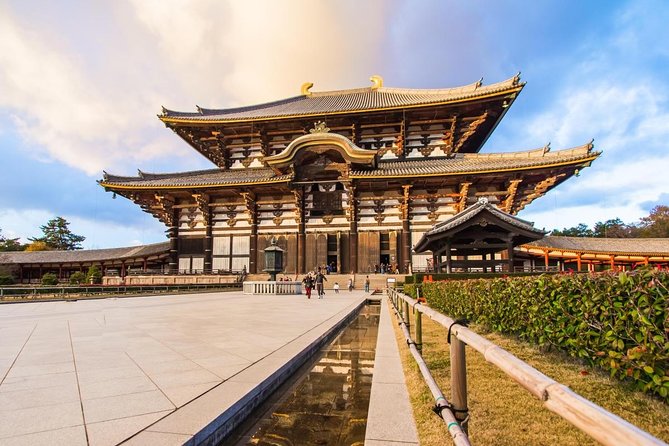 Nara Afternoon Tour - Todaiji Temple and Deer Park From Kyoto - Inclusions and Exclusions