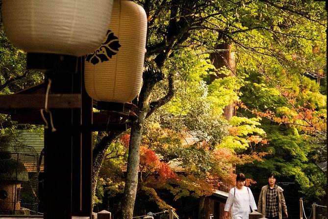 Nara Custom Full Day Tour - Booking Information