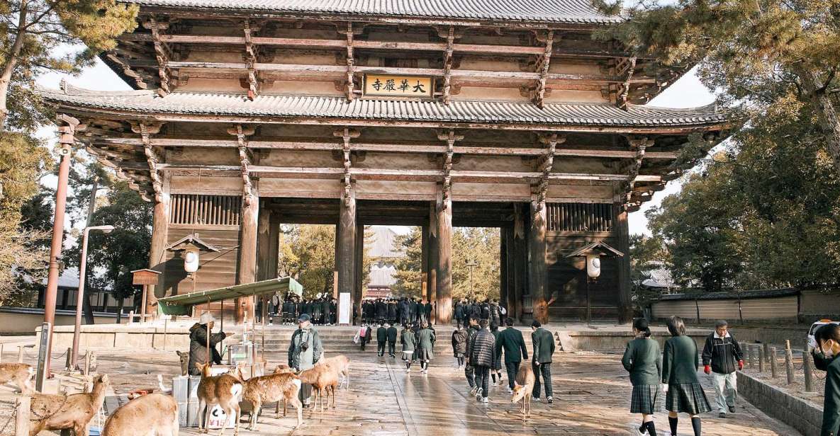 Nara Like a Local: Customized Guided Tour - Tour Highlights