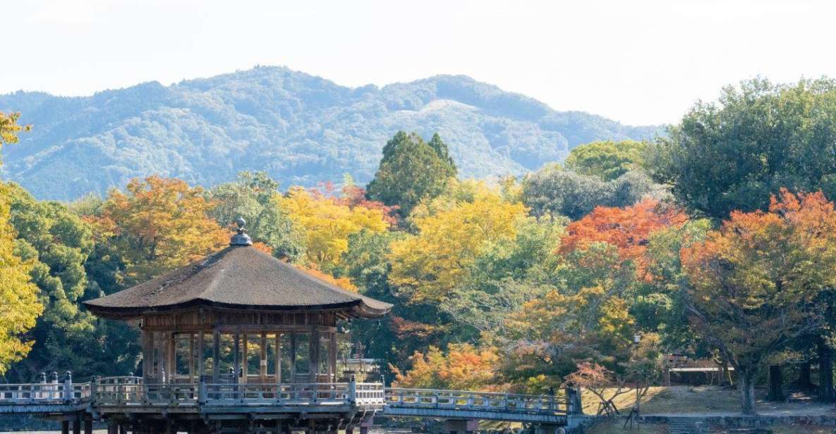 Nara: Private City Tour With A Local Guide - Itinerary