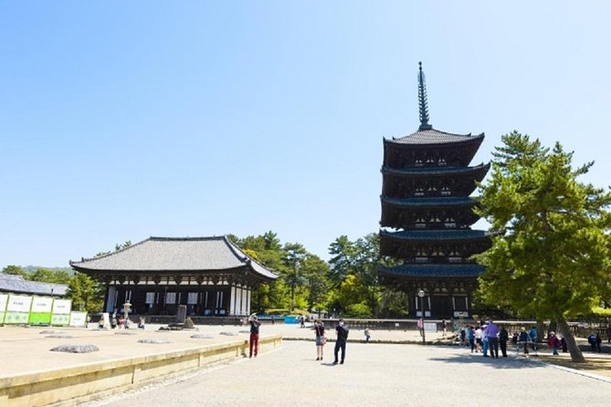 Nara Private Tour by Public Transportation From Osaka - Itinerary Highlights