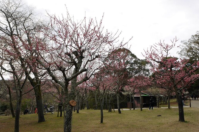 Nara Todaiji Kasuga Taisha Private Full Day Tour From Kyoto - Tour Inclusions