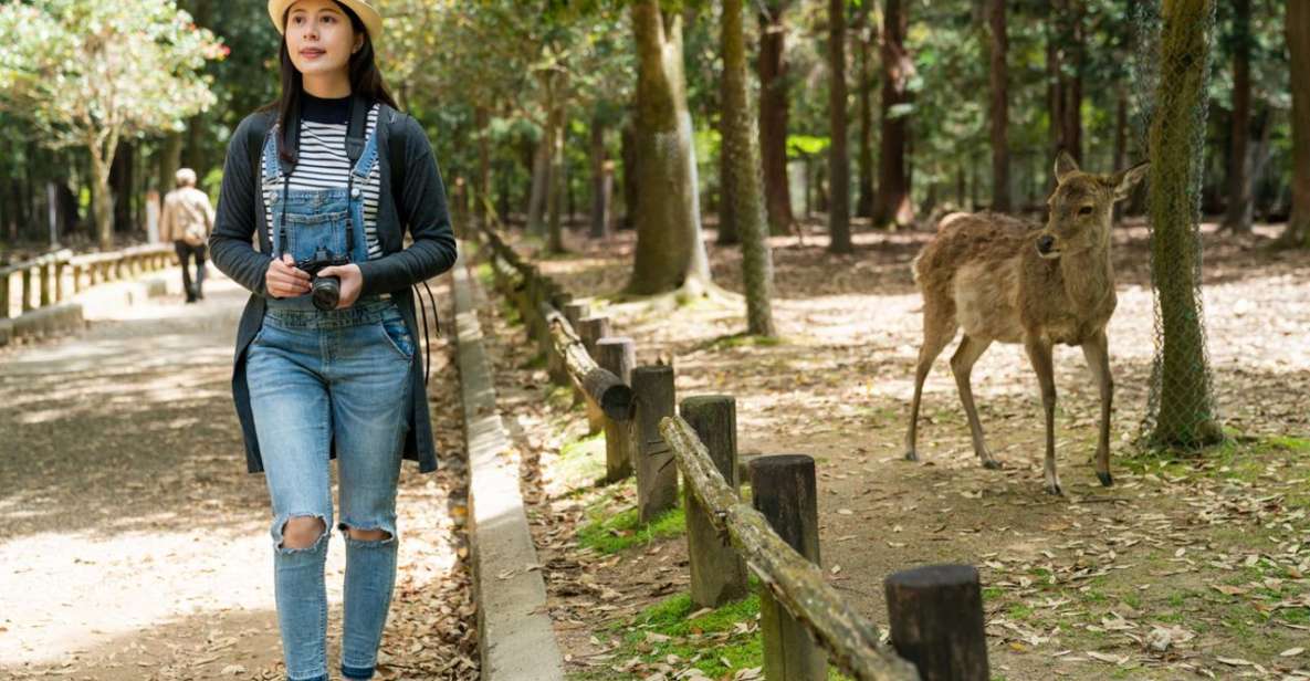 Nara's Historical Wonders: A Journey Through Time and Nature - Nara Park and Friendly Deer